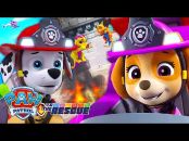 PAW Patrol Official u0026 Friends