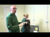 Lawn Vets Swindon