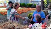 ������‍������‍������‍������ 7 Little Johnstons (2015) - Season 17 Episode 7<br/><br/>Big hearts, big dreams, big love! In Episode [7], [brief hook: see episode-specific hooks below]. Follow the Johnston family—parents Trent and Amber, and their five amazing kids—as they navigate life's everyday adventures, celebrate milestones, and support each other through thick and thin.<br/><br/>������ Episode Highlights:<br/>• [E01 Hook: \
